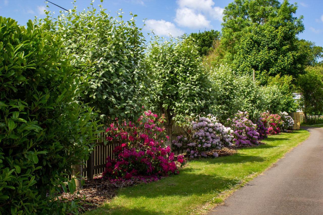 Home Farm B&B - Poppy Room Forfar Bagian luar foto